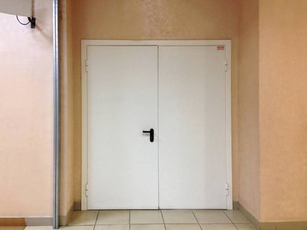 Двупольная огнеупорная дверь белого цвета