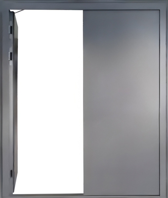 Двустворчатая металлическая противопожарная дымогазонепроницаемая дверь EIS-60 (2500x2100 мм)