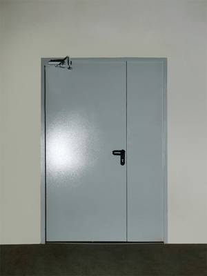 Полуторная дверь, фото изнутри (г. Фрязино) Полуторная дверь, фото изнутри (г. Фрязино)