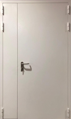 Полуторная глухая противопожарная дверь EI 90 03 (порошковое напыление)
