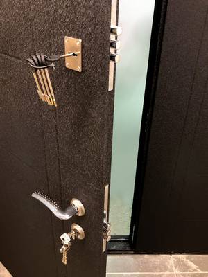 Замки двери (ул. Введенского, 8) Замки двери (ул. Введенского, 8)